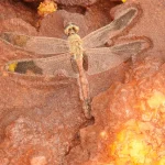 photo_2026-04-07_12-29-51