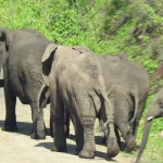 photo_2026-04-07_12-30-08