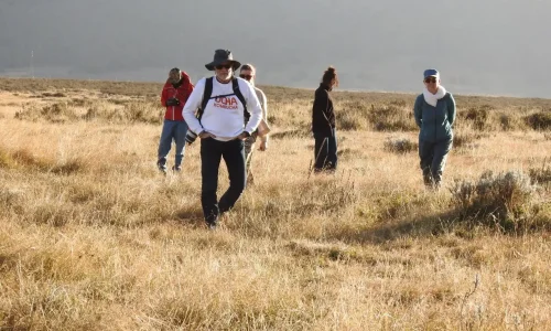 photo_2026-04-07_12-29-36