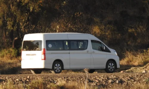 photo_2026-04-07_12-29-41 (2)