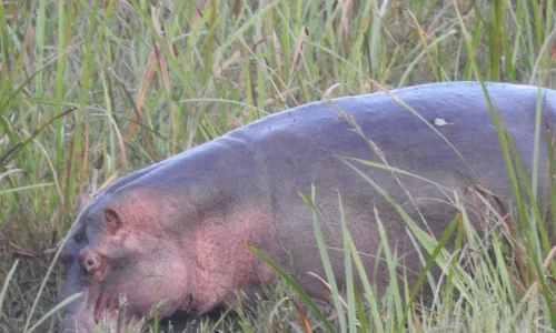 photo_2026-04-07_12-29-54