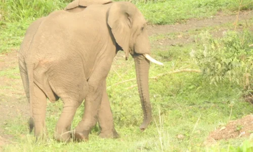 photo_2026-04-07_12-29-57