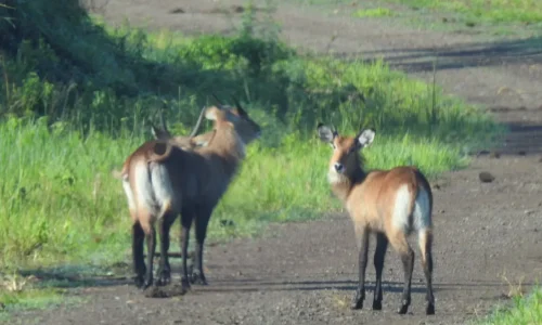 photo_2026-04-07_12-29-59