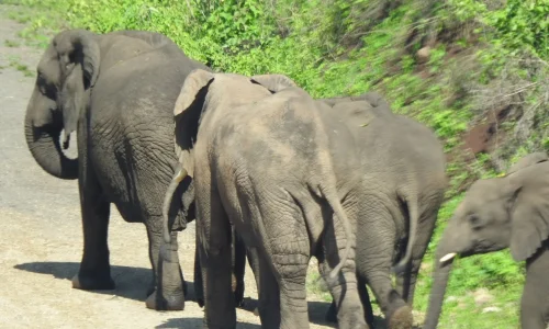 photo_2026-04-07_12-30-08