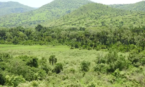 photo_2026-04-07_12-30-12 (1)